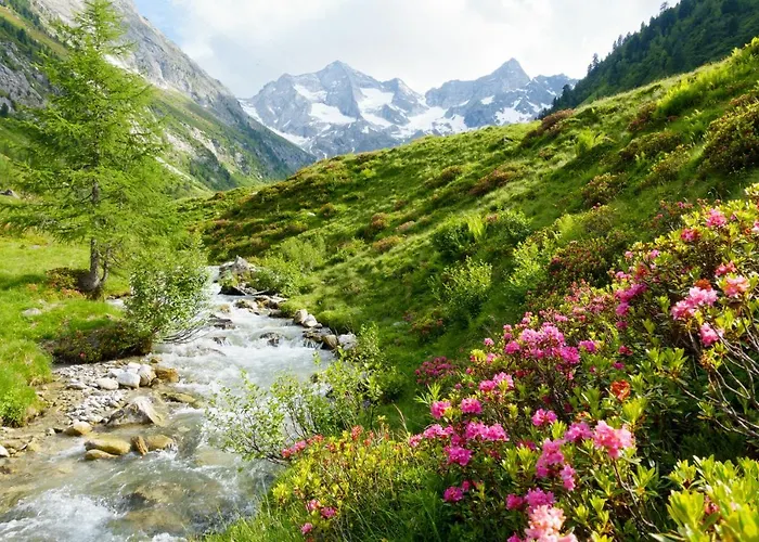 Manni - & Mayrhofen