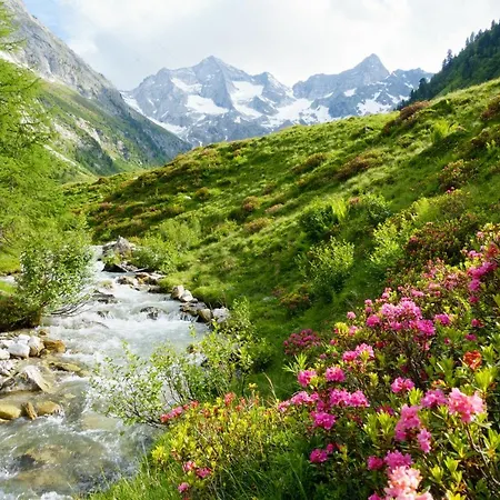 Manni - & Mayrhofen